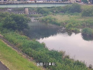 染羽のカメラ画像