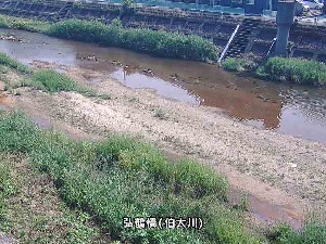 弘鶴橋のカメラ画像