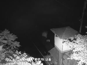 日登のカメラ画像